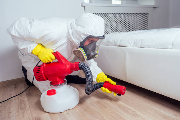Best Affordable Pest Control Services  in San Elizario, TX