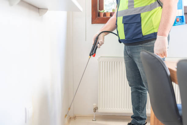 Best Flea Control Services  in San Elizario, TX