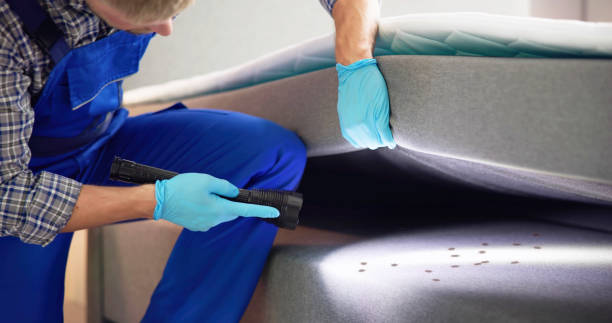 Best Mosquito Control Services  in San Elizario, TX